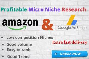 Portfolio for Profitable micro niche research